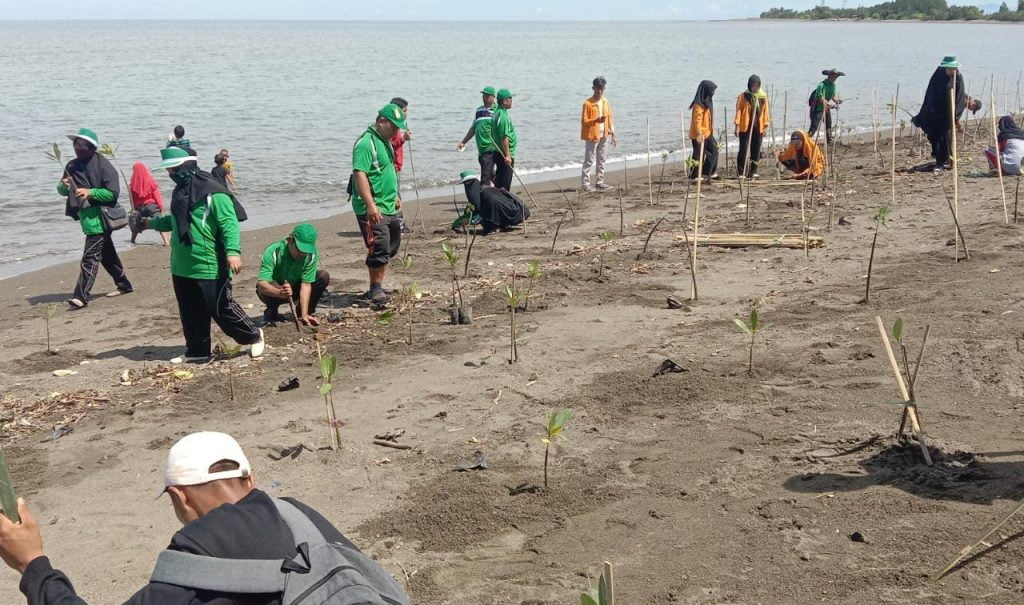 PT AAL Berpartisipasi Bibit Mangrove ke Pemkab Pasangkayu | NEWS TV