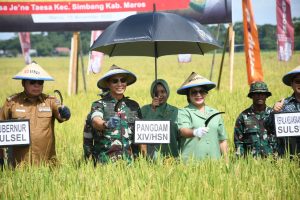 Pangdam Hasanuddin  Gelar Panen Raya dan Bakti Sosial Implementasi Ketahanan Pangan Wilayah
