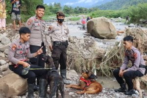 Hari Ketiga Pencarian Korban Tanah Longsor di Gowa, Unit Polsatwa K9 Diturunkan