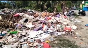 Tumpukan Sampah di Kelurahan Baras Tempat Bersarangnya Tikus