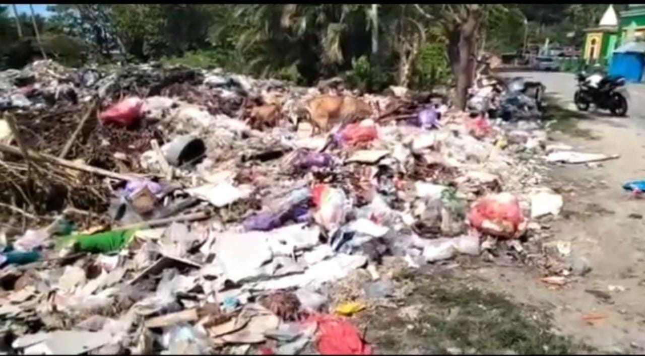 Tumpukan Sampah di Kelurahan Baras Tempat Bersarangnya Tikus | NEWS TV