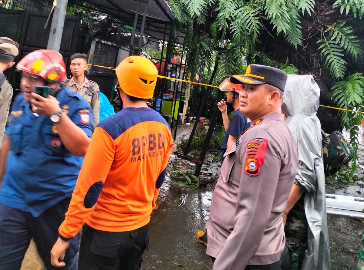 Gegara Pohon Tumbang, Lima Orang Dilarikan ke Rumah Sakit. | NEWS TV