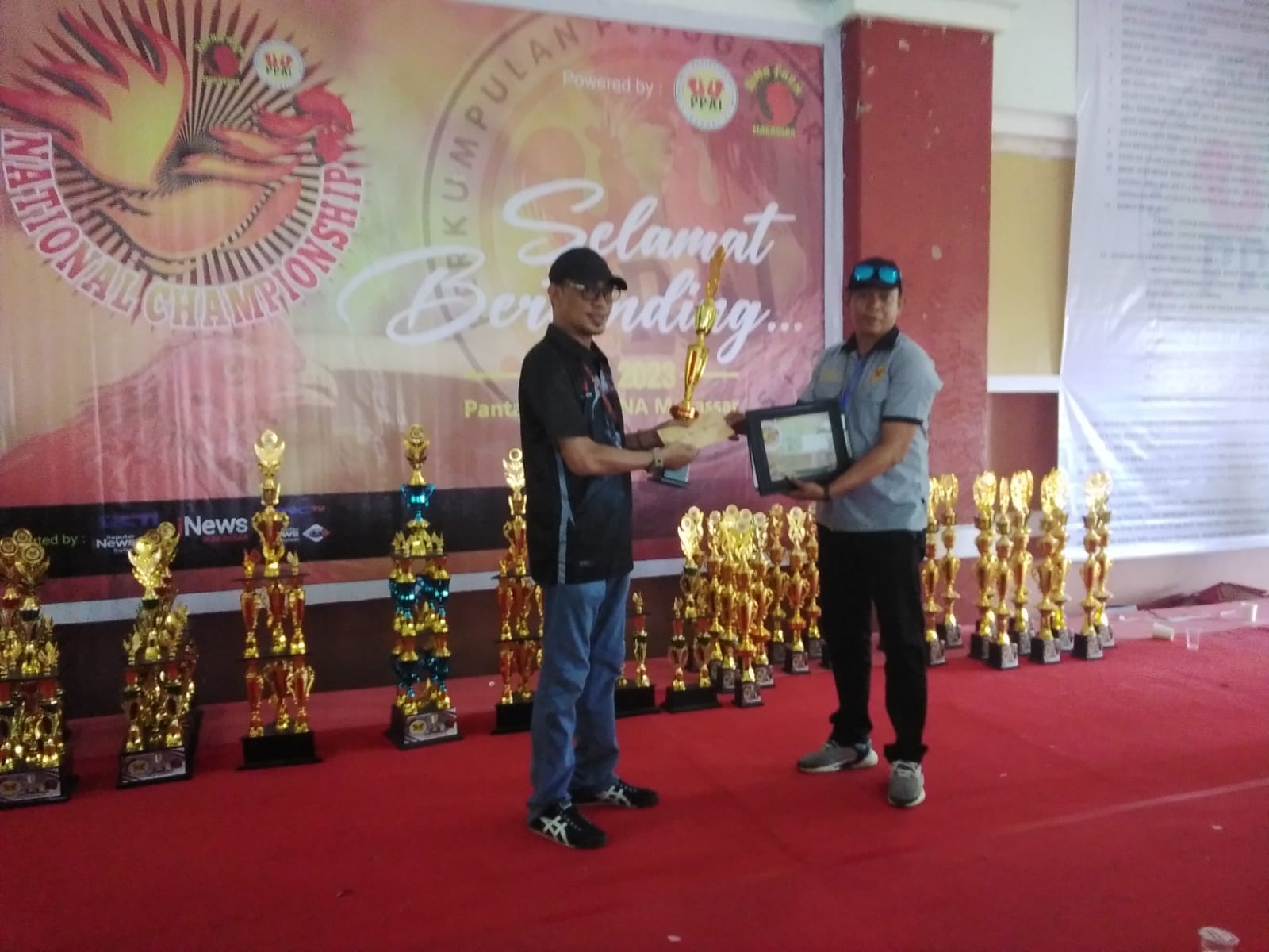 Nasional Campion Ship Ajang Kontes Adu Ketangkasan Ayam Bangkok SE Sulawesi Selatan Diselenggaran Di Pantai Akkerana Makassar. | NEWS TV