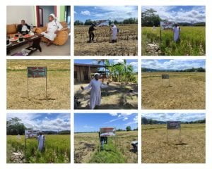 Ahliwaris: Tanah Milik Abdul Karim Mahapani di Kabupaten Maros Siap Dijual