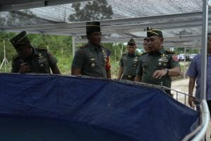 Pangdam XIV/Hsn Tininjau Kesiapan Ketahanan Pangan Program Unggulan Kasad Di Wilayah Korem 143/HO, Kendari | NEWS TV Indonesia