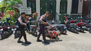 Polsatwa K9 Polda SUL-SEL Melaksanakan Sterillisasi Ibadah Paskah Gereja-Gereja Yang Di Anggap Rawan | NEWS TV Indonesia
