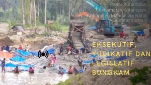Ativitas PETI Yang Meresahkan: Legislatif, Eksekutif, dan Yudikatif Terkesan Bungkam