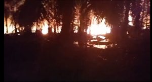 Sumur Minyak Ilegal di Alue Canang Aceh Timur Terbakar
