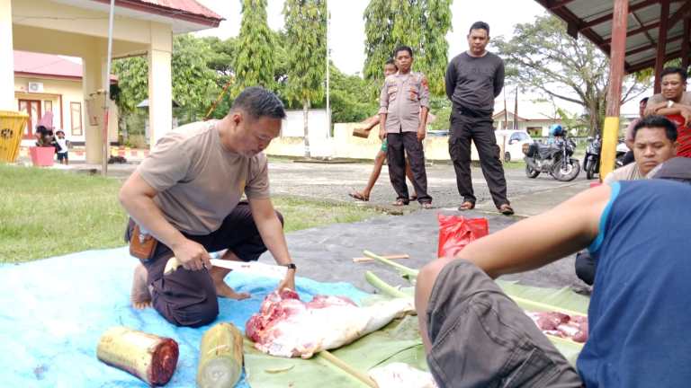 Polsek Bambalamotu Laksanakan Pemotongan Qurban Hari Ke dua Idul Adha | NEWS TV Indonesia