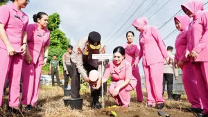 Polda Sulbar Terus Galakkan Gerakan Penanaman Pohon, Kali ini di Sekitar Kantor PJR
