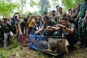 Dukung Konservasi Alam, Kasad Lepas Liarkan Satwa Langka | NEWS TV Indonesia Dukung Konservasi Alam, Kasad Lepas Liarkan Satwa Langka | NEWS TV Indonesia