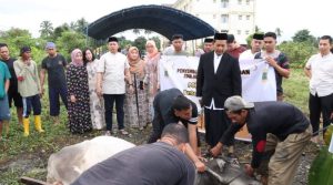 Polres Morowali Qurbankan 21 Ekor Sapi dan 4 Ekor Kambing