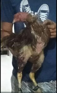 Sikap Arogan Kembal Terjadi Yang Diduga” Dilakukan Oleh Salah Satu Oknum Anggota Polres JENE”PONTO