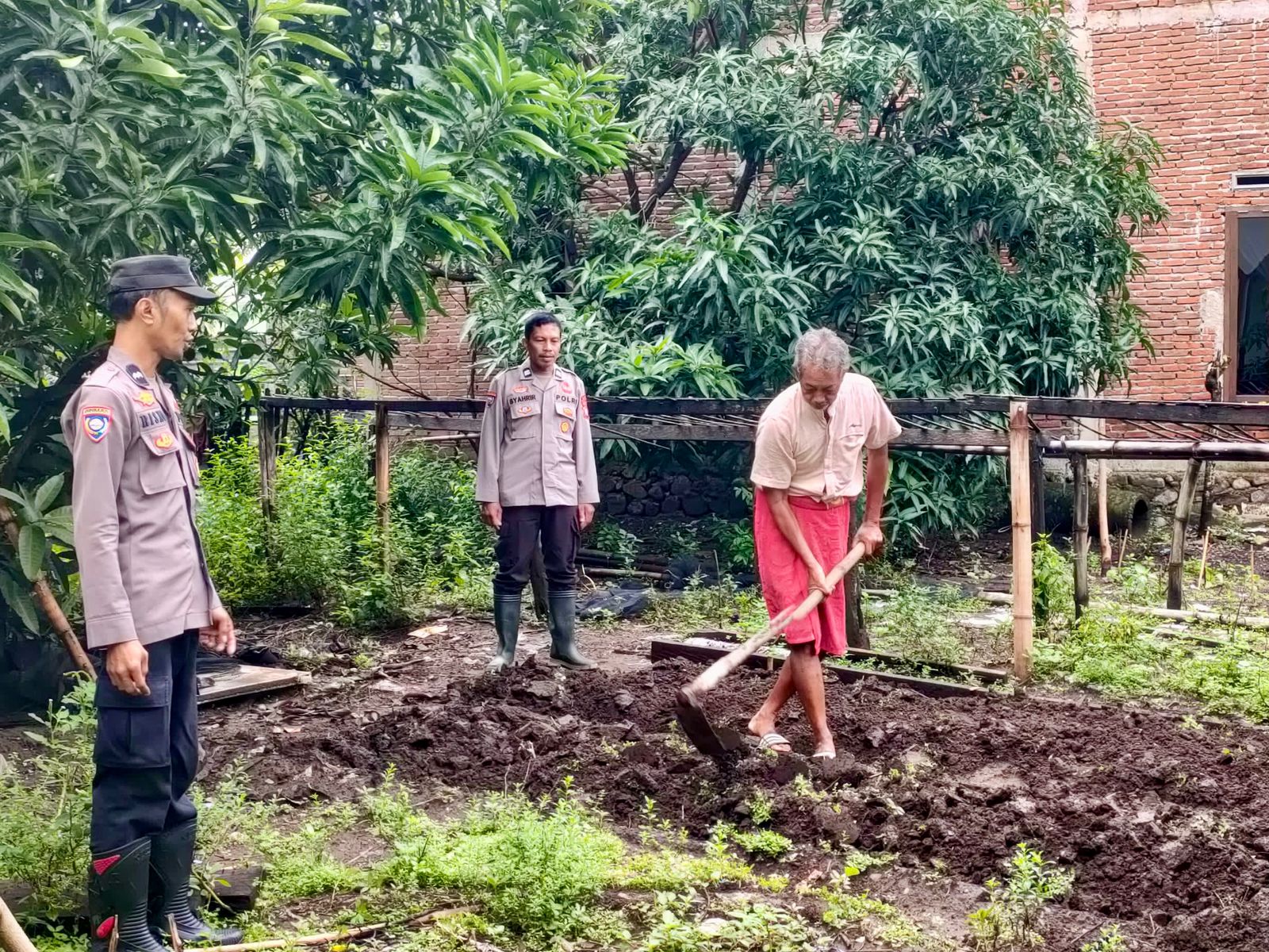 Dukung Swasembada Pangan, Bhabinkamtibmas Kelurahan Mangadu Dampingi Warga Buat Bedengan Tanaman Bergizi | NEWS TV Indonesia
