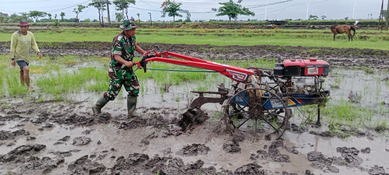 Tingkatkan Hasil Panen, Babinsa Koramil 1425-05/Batang Bantu Petani Garap Lahan Persawahan | NEWS TV Indonesia