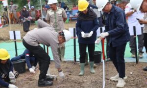 Kapolresta Mamuju Bersama Unsur Forkopimda Tanam Jagung Serentak 1 Juta Hektar di Tommo