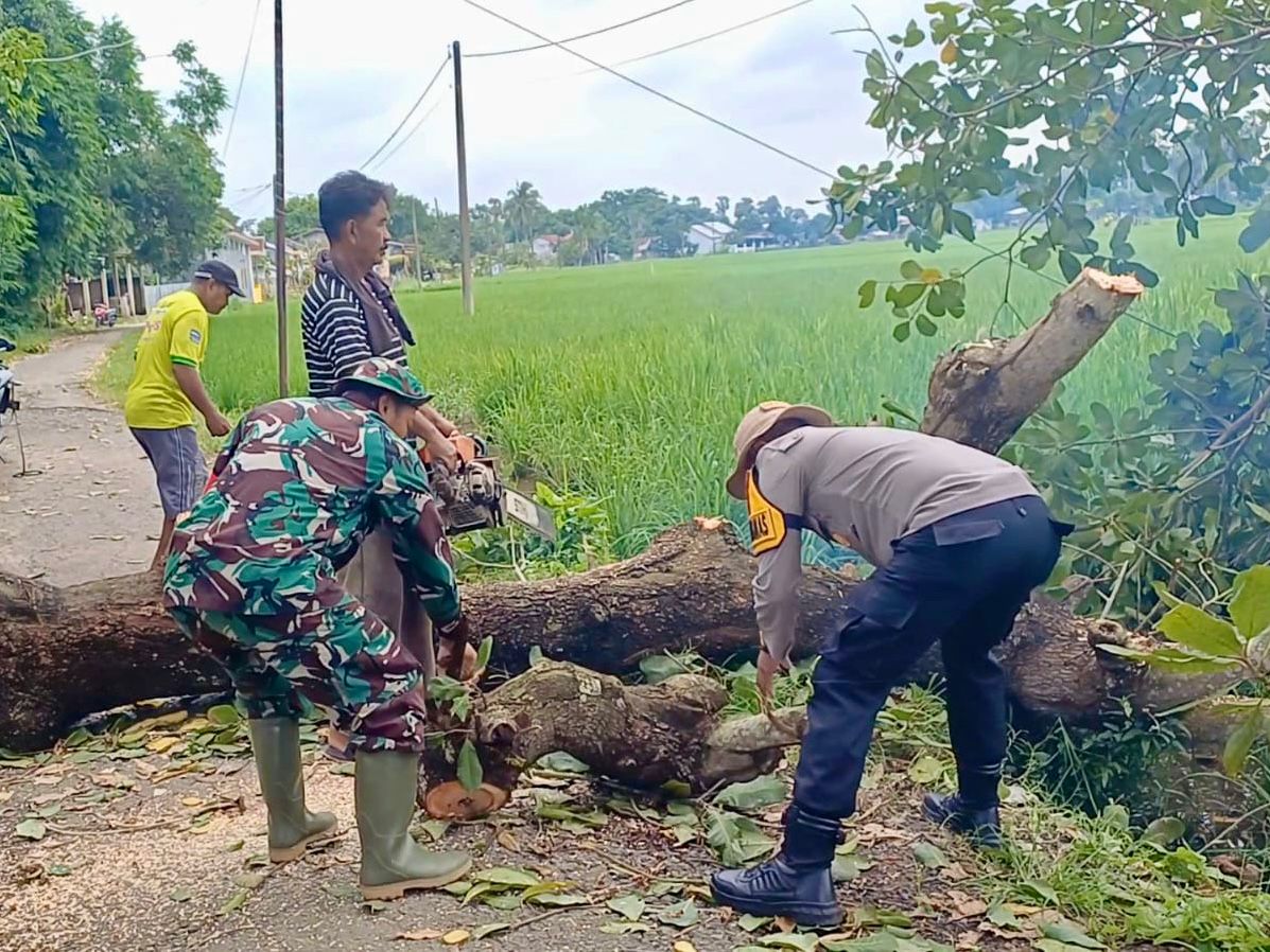 Evakuasi Cepat! Bhabinkamtibmas dan Babinsa Desa Popo Bersama Warga Gotong Royong Bersihkan Pohon Tumbang | NEWS TV Indonesia
