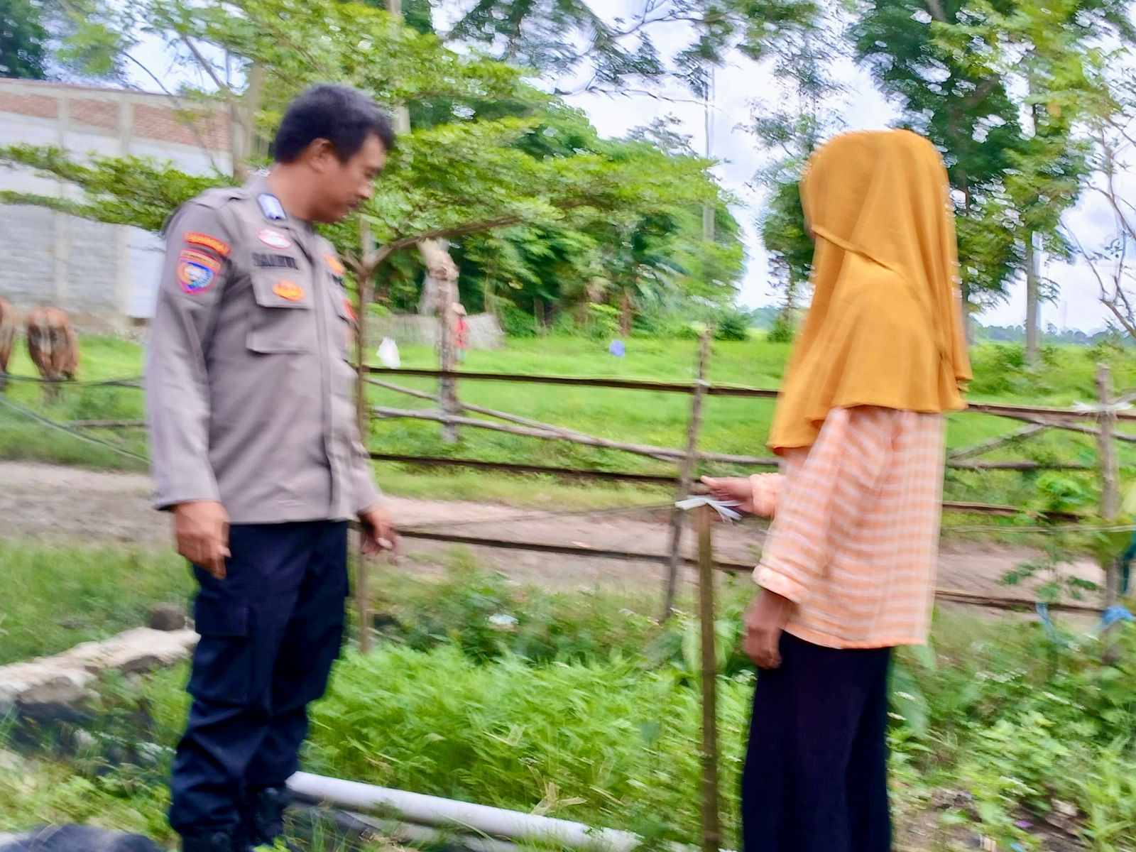 Bhabinkamtibmas Kelurahan Palleko Dukung Ketahanan Pangan : Warga Manfaatkan Pekarangan untuk Tanaman Bergizi | NEWS TV Indonesia