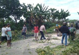 Aksi Cepat Polsek Wedarijaksa Tangani Pohon Tumbang, Satu Korban Jiwa
