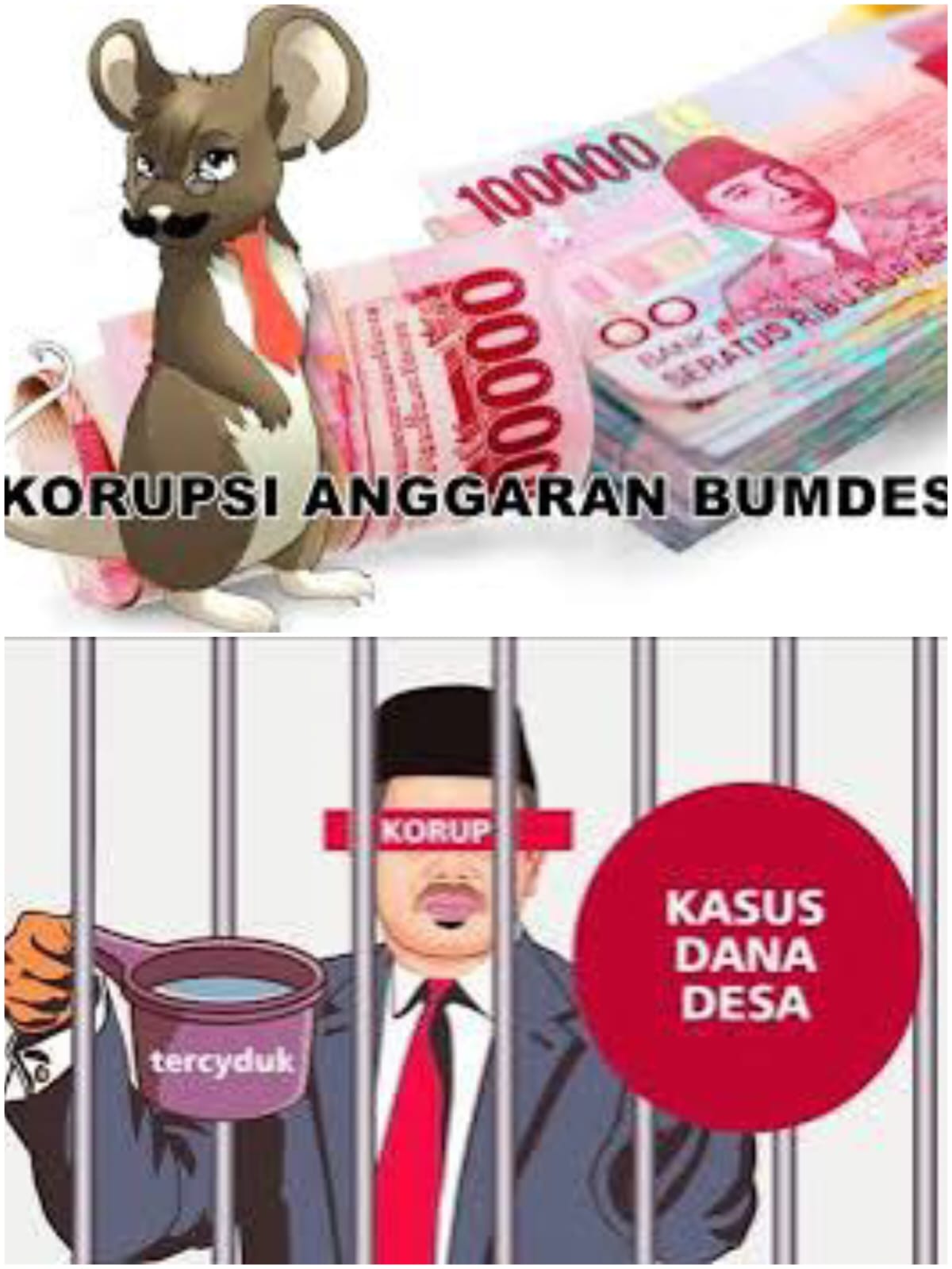 Dugaan Penyalagunaan Dana BUMDES Desa Banggae Capai Rp 110 Juta, Camat di duga melakukan pembiaran. | NEWS TV Indonesia