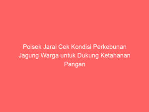 Polsek Jarai Cek Kondisi Perkebunan Jagung Warga untuk Dukung Ketahanan Pangan