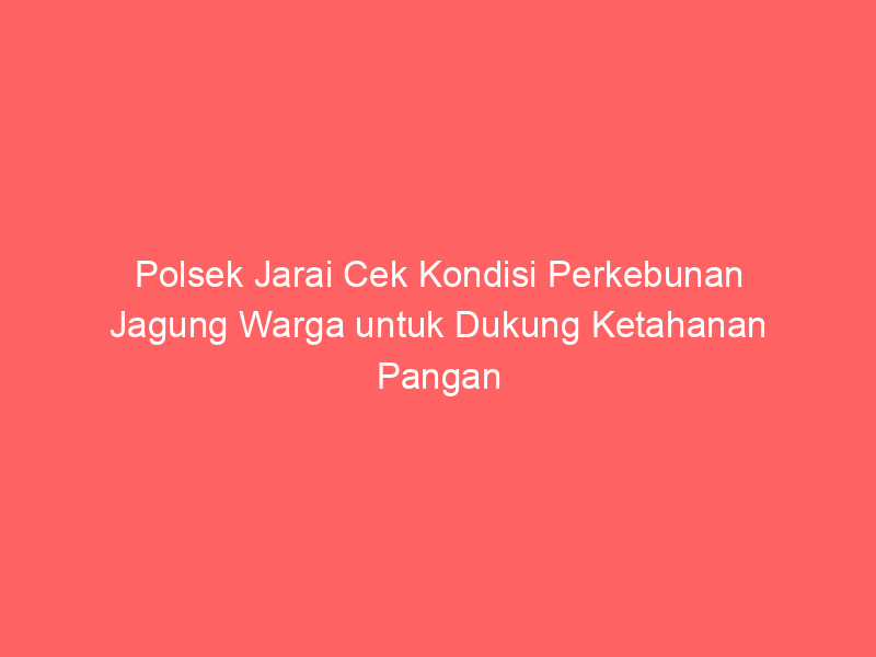 Polsek Jarai Cek Kondisi Perkebunan Jagung Warga untuk Dukung Ketahanan Pangan | NEWS TV Indonesia