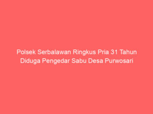 Polsek Serbalawan Ringkus Pria 31 Tahun Diduga Pengedar Sabu Desa Purwosari