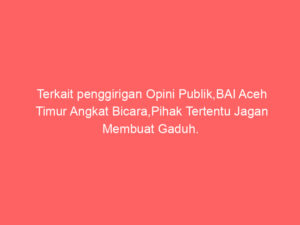 Terkait penggirigan Opini Publik,BAI Aceh Timur Angkat Bicara,Pihak Tertentu Jagan Membuat Gaduh.