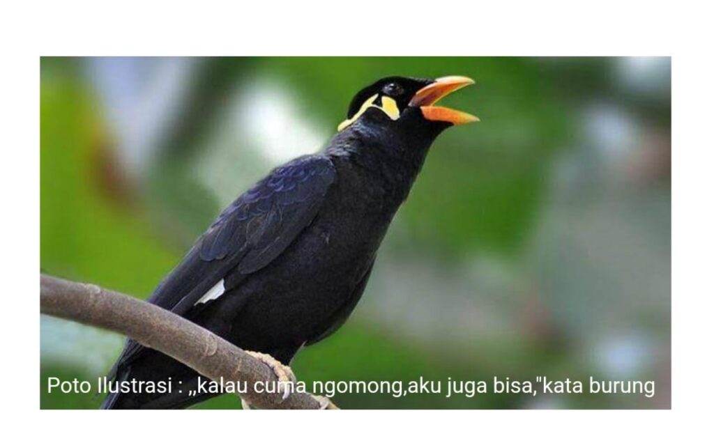 Lambatnya Penanganan Kasus PIP di Aceh Timur, Imbauan Plt Kadisdik Di Nilai  Tidak Berfungsi Untuk Masyarakat Yang Jadi Korban. | NEWS TV Indonesia