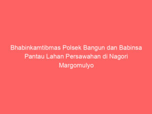 Bhabinkamtibmas Polsek Bangun dan Babinsa Pantau Lahan Persawahan di Nagori Margomulyo