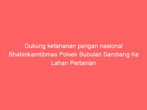 Dukung ketahanan pangan nasional Bhabinkamtibmas Polsek Bubulan Sambang Ke Lahan Pertanian
