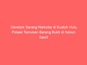 Gerebek Sarang Narkoba di Kualuh Hulu, Polsek Temukan Barang Bukti di Kebun Sawit