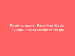 Polsek Jenggawah Panen Ikan Nila dan Gurame, Dukung Ketahanan Pangan