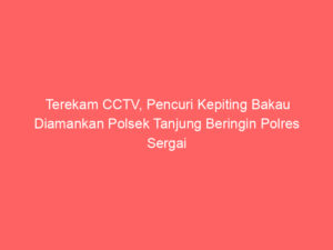 Terekam CCTV, Pencuri Kepiting Bakau Diamankan Polsek Tanjung Beringin Polres Sergai