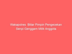 Wakapolres  Blitar Pimpin Pengecekan Senpi Genggam Milik Anggota