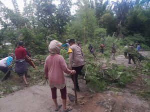 Marak Peredaran Rokok Ilegal Wilayah Jakarta Utara Dengan Tidak Ada Izin Pita Cukai Dan Meresahkan | NEWS TV Indonesia