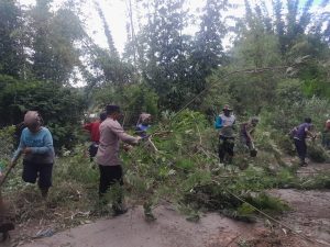 Marak Peredaran Rokok Ilegal Wilayah Jakarta Utara Dengan Tidak Ada Izin Pita Cukai Dan Meresahkan | NEWS TV Indonesia