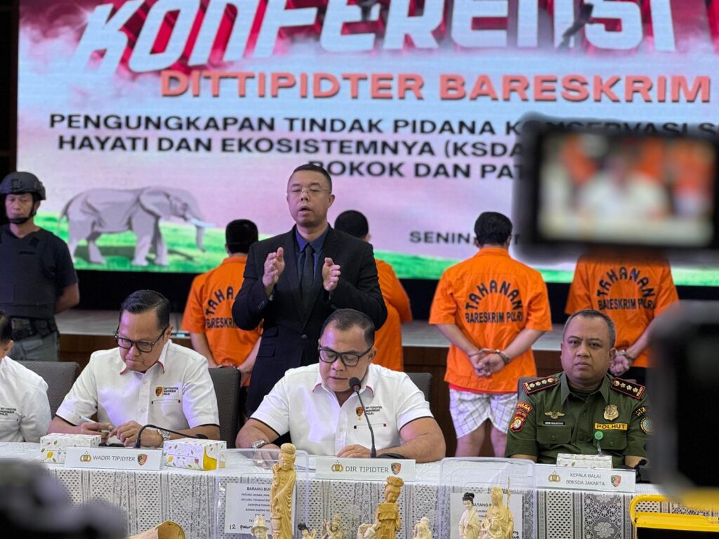 Dittipidter Bareskrim Polri Ungkap Perdagangan Ilegal Gading Gajah di Sukabumi dan Jakarta | NEWS TV Indonesia