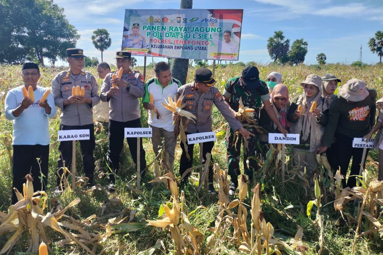 Danramil 1425-91/Binamu Hadiri Panen Raya Jagung Tahap II Tahun 2025 Polres Jeneponto | NEWS TV Indonesia
