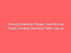 Dukung Ketahanan Pangan, Kanit Binmas Polsek Gondang Sambangi Petani Jagung
