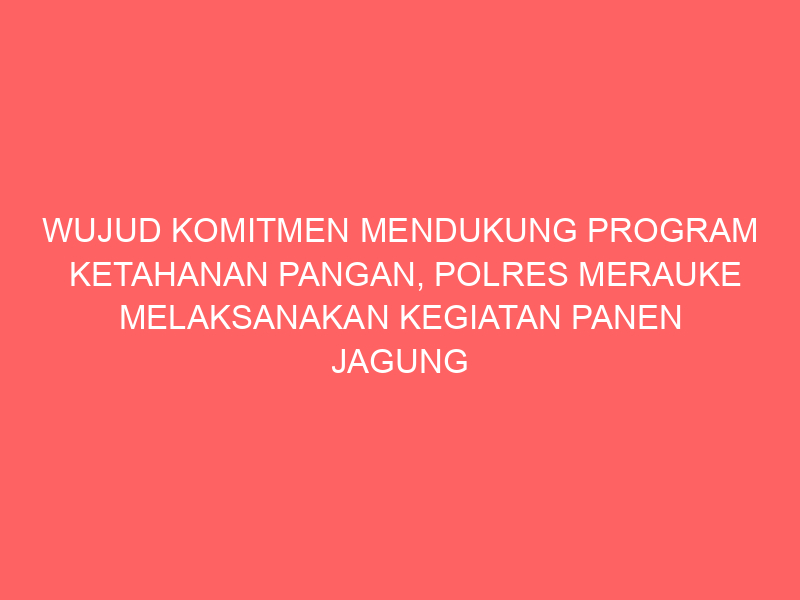 WUJUD KOMITMEN MENDUKUNG PROGRAM KETAHANAN PANGAN, POLRES MERAUKE MELAKSANAKAN KEGIATAN PANEN JAGUNG | NEWS TV Indonesia