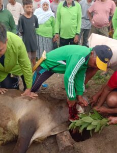 Semangat Qurban di Desa Janji Manaon Meningkat: Ihwan Nasution Jadi Contoh Kepedulian dan Pengabdian