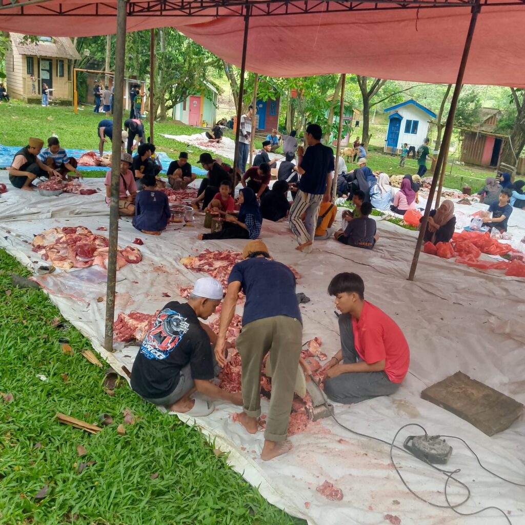 23 ekor sapi Qurban di Desa Huraba di sembelih setelah sholat jumat akan dibagikan ke masyarakat