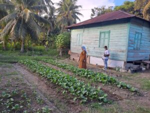 Pokja lll Madina Tinjau Pemanfaatan lahan Pekarangan Desa Adian Jior