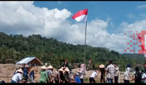 Bekas galian tambang emas ilegal di kota Nopan ubah jadi areal persawahan