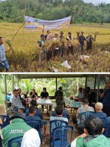 Wali Kota Padangsidimpuan dan Legislator Hasbin Sitompul Tegaskan Dukungan Penuh untuk Ketahanan Pangan dan Kesejahteraan Petani