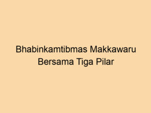 Bhabinkamtibmas Makkawaru dan Tiga Pilar Salurkan Bantuan bagi Anak Stunting