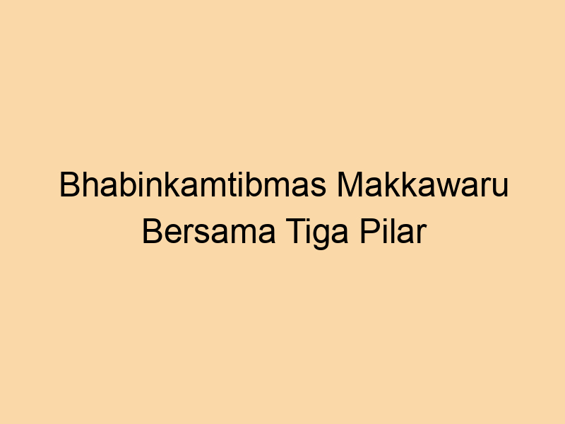 Bhabinkamtibmas Makkawaru dan Tiga Pilar Salurkan Bantuan bagi Anak Stunting | NEWS TV Indonesia