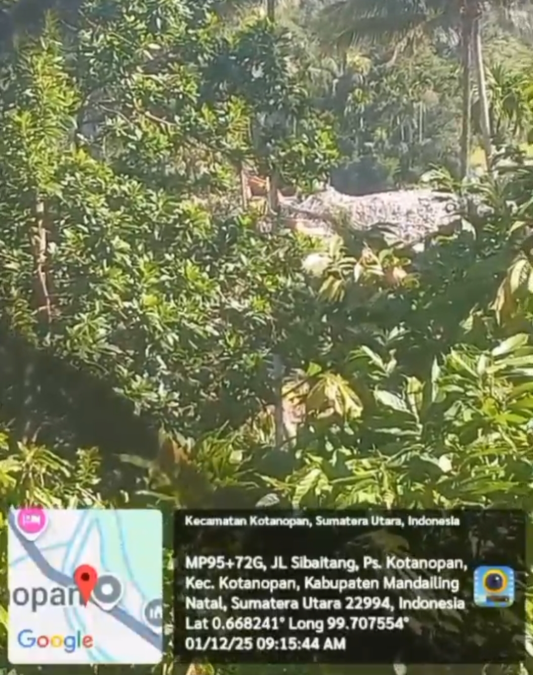 Mafia PETI Kota Nopan Tak Perduli Dengan Musibah Madina | NEWS TV Indonesia