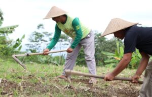 Konflik Belasan Tahun Berakhir, Sertipikat Redistribusi Tanah Buka Jalan Pemulihan Ekonomi Desa Soso